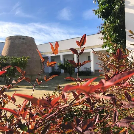 Farm stay Masseria Rifisa Agriresort Caprarica di Lecce